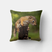 ベビーアカリス クッション (裏面)