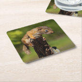 ベビーアカリス スクエアペーパーコースター (アングル)