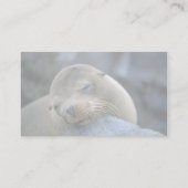 ベビーアシカ諸島 名刺 (裏面)