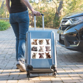 ベビーアニマルセット1 シール (スーツケースインサイチュ)