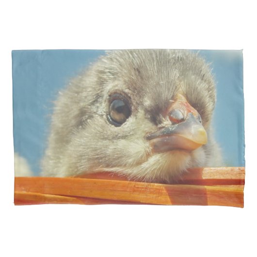 ベビーアニマルチキン 枕カバー (正面)