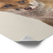 ベビーアニマル子供部屋ポスター – キツネ ポスター (角)