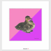 ベビーアヒルのピンクのラズベリーと紫のソベット