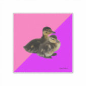 ベビーアヒルのピンクのラズベリーと紫のソベット シール (正面)