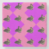 ベビーアヒルのピンクのラズベリーと紫のソルベットパット ストーンコースター (正面)