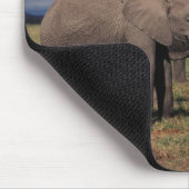 ベビーアフリカゾウ（家族） マウスパッド (コーナー)