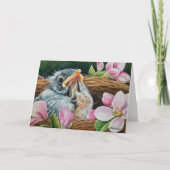 ベビーアメリカンロビンバードインネストウォーターカラーアート カード (正面)