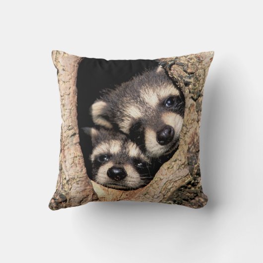 ベビーアライグマが木から覗き込む クッション (裏面)