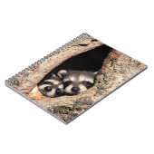 ベビーアライグマが木から覗き込む ノートブック (左側)