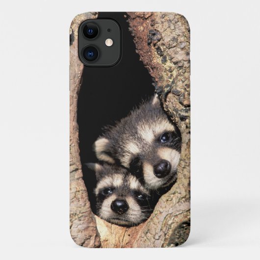 ベビーアライグマが木から覗き込む Case-Mate iPhoneケース (裏面)