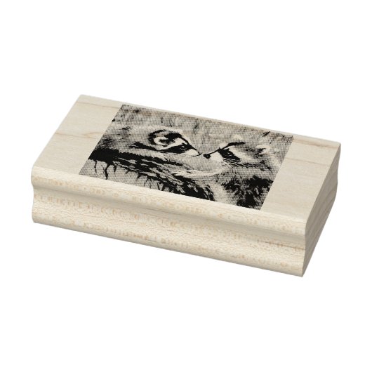 ベビーアライグマのゴム印 ラバースタンプ (スタンプ)