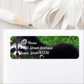 ベビーアライグマの宛名ラベル ラベル (インサイチュ)