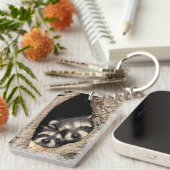 ベビーアライグマ木腔プロキオン キーホルダー (正面右)