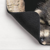 ベビーアライグマ木腔プロキオン マウスパッド (コーナー)