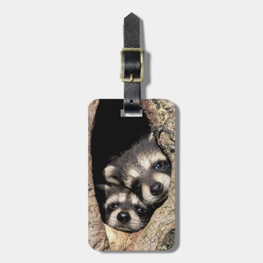 ベビーアライグマ木腔プロキオン ラゲッジタグ (正面縦)