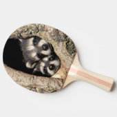 ベビーアライグマ木腔プロキオン 卓球ラケット (横)