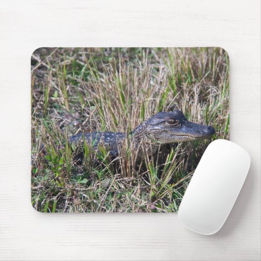 ベビーアリゲーター野生生物自然写真 マウスパッド (マウス)