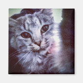 ベビーアルテミス マグネット (正面)