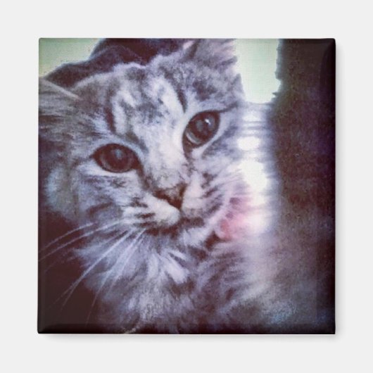 ベビーアルテミス マグネット (正面)