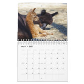 ベビーアルパカカレンダー2023 カレンダー (3月 2027)