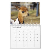 ベビーアルパカカレンダー2023 カレンダー (2月 2026)