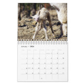 ベビーアルパカカレンダー2023 カレンダー (1月 2026)