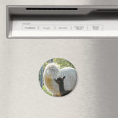 ベビーアルパカキス磁石 マグネット (インサイチュ (食洗機))