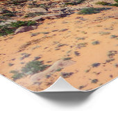 ベビーアーチ ポスター (コーナー)