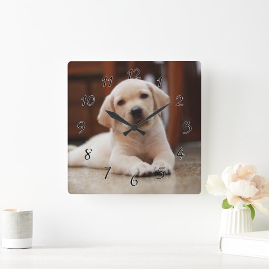 ベビーイエローラブラドール子犬の腹に置く スクエア壁時計 (ホーム)