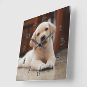 ベビーイエローラブラドール子犬の腹に置く スクエア壁時計 (傾斜)