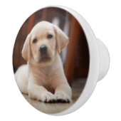 ベビーイエローラブラドール子犬の腹に置く セラミックノブ (右)