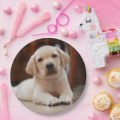 ベビーイエローラブラドール子犬の腹に置く ペーパープレート (パーティー)