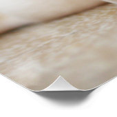 ベビーイエローラブラドール子犬の腹に置く ポスター (コーナー)