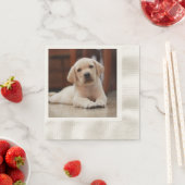 ベビーイエローラブラドール子犬の腹に置く 縁ありカクテルナプキン (インサイチュ)