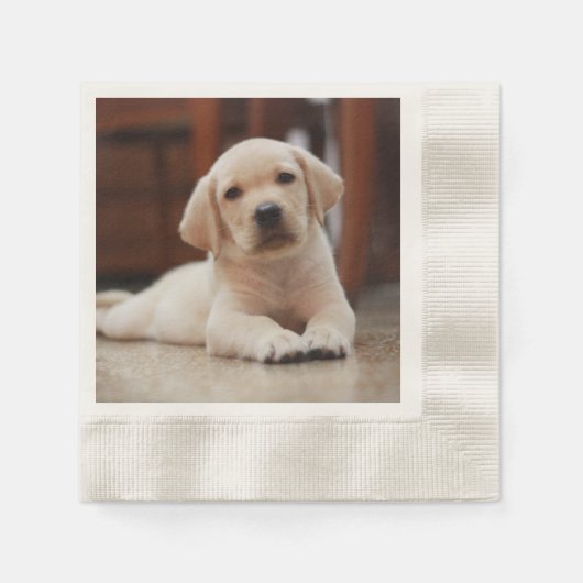 ベビーイエローラブラドール子犬の腹に置く 縁ありカクテルナプキン (正面)