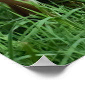 ベビーインパラ（緑） ポスター (角)