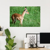 ベビーインパラ（緑） ポスター (ホームオフィス)