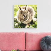 ベビーウサギ キャンバスプリント (インサイチュ (リビング))