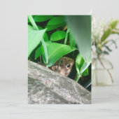 ベビーウサギ シーズンカード (スタンド正面)