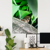 ベビーウサギ ポスター (ホームオフィス)