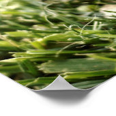 ベビーウサギ ポスター (角)