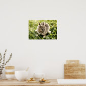 ベビーウサギ ポスター (キッチン)