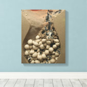 ベビーウミガメ卵孵化 キャンバスプリント (インサイチュ (ウッドフロア))