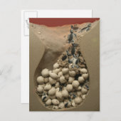 ベビーウミガメ卵孵化 ポストカード (正面/裏面)