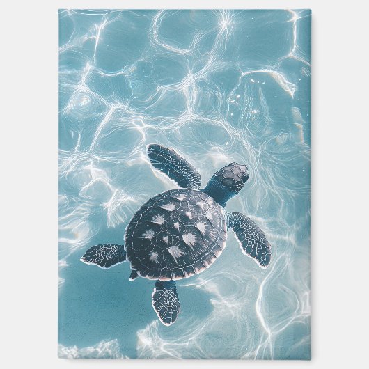 ベビーウミガメ澄んインウォーター マグネット (正面)