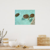 ベビーウミガメ ポスター (キッチン)