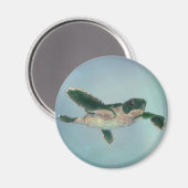 ベビーウミガメ マグネット (正面/裏面)