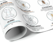 ベビーウンチ包装紙 ラッピングペーパー (ロールコーナー)