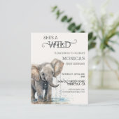 ベビーエレファントジャングルサファリワイルドワン誕生日 (スタンド正面)