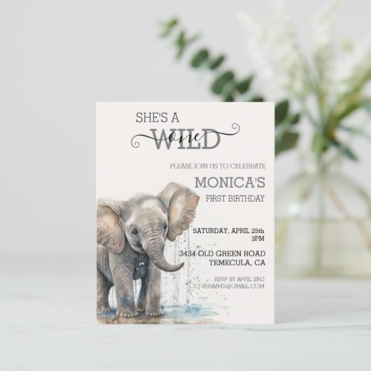 ベビーエレファントジャングルサファリワイルドワン誕生日 (スタンド正面)